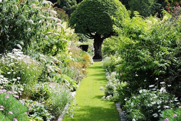 Crathes Castle Garden