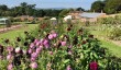 croome-court-garden.jpg
