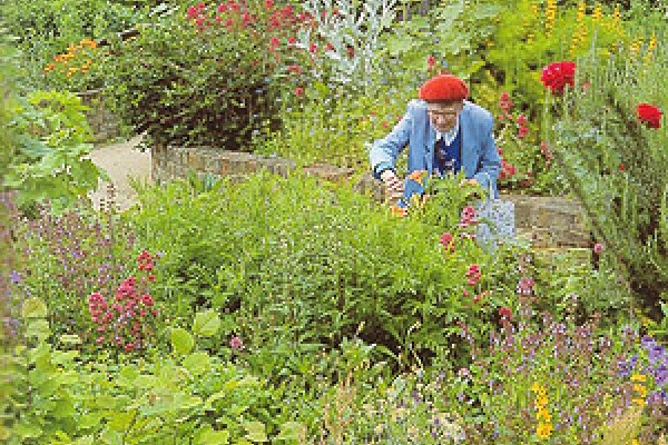 Culpeper  Community Garden