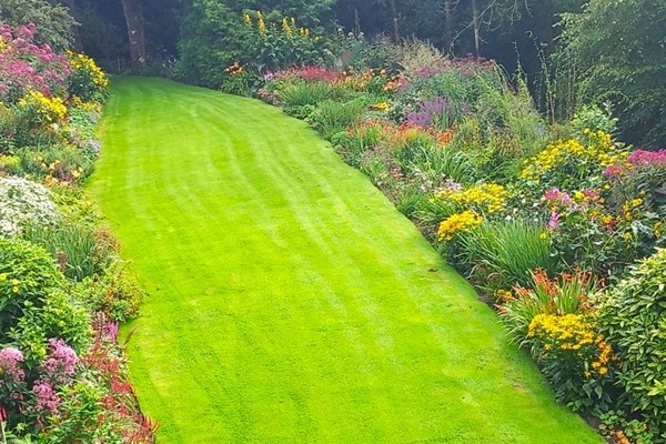 Cwm Weeg Gardens