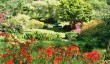 dartington_hall_gardens.jpg