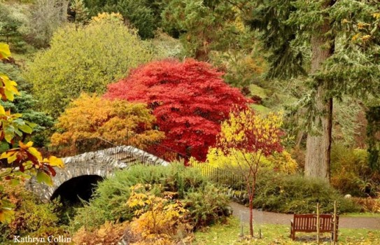Dawyck Botanic Garden Autumn Dawyck Botanic Garden Autumn