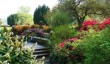 dawyck_botanic_garden.jpg