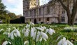 deerne-park-snowdrops.jpg