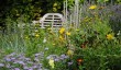 denmans-garden-in-sussex.jpg