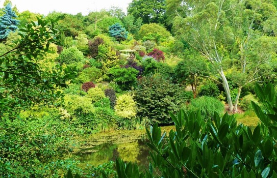 The Dingle Garden The Dingle Garden