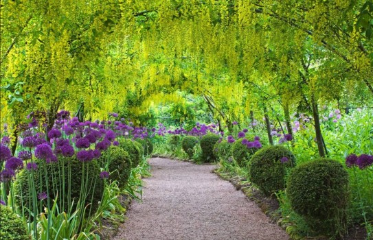 Dorothy Clive Garden Dorothy Clive Garden