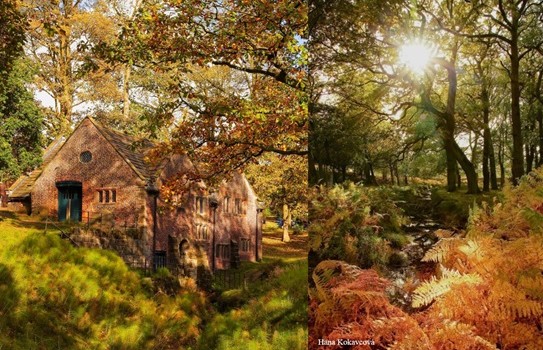 Dunham Massey Garden Autumn Dunham Massey Garden Autumn