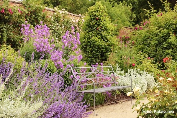 Dunham Massey Garden Summer