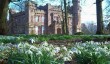 dunninald-castle-snowdrop.jpg