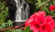dunvegan-castle-garden.jpg