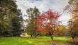 dyffryn-garden-autumn.jpg