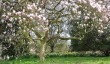 dyffryn-garden-in-spring.jpg