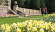 dyffryn-garden-spring.jpg