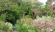 east-lambrook-gardens.jpg