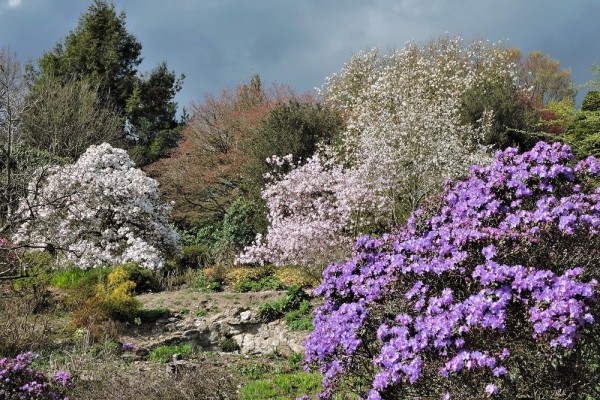 Emmetts Garden