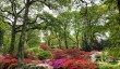 exbury-azaleas.jpg