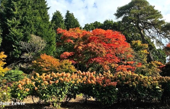 Exbury Gardens Autumn Exbury Gardens Autumn