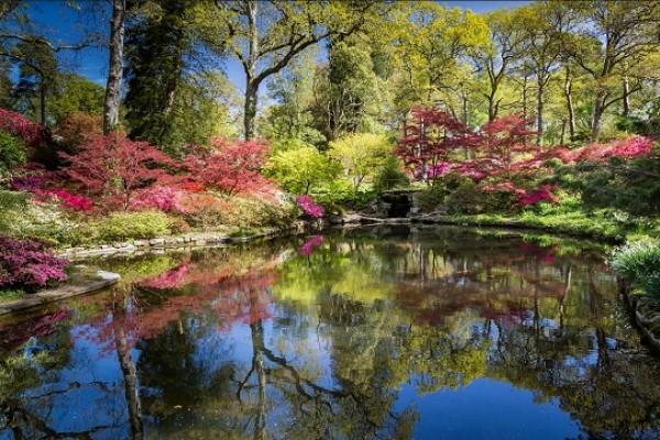 Exbury Gardens