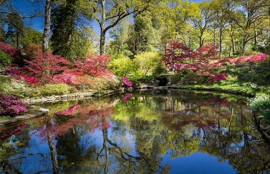 Exbury Gardens