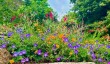 exeter-university-garden.jpg