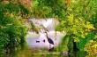 exeter-university-grounds.jpg
