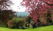 falkland_palace_garden.jpg