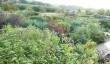 farrindon-landscape.jpg