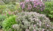 farringford-gardens.jpg