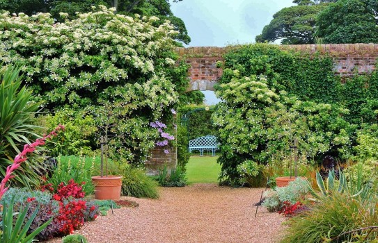 Felbrigg Hall Garden