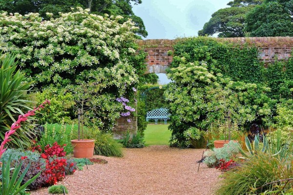 Felbrigg Hall Garden