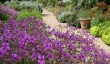 felbrigg-hall-gardens.jpg