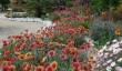 felbrigg-walled-garden.jpg