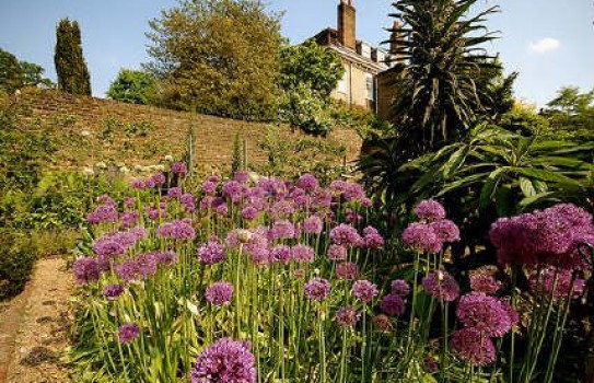 Fenton House Garden