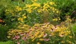 find-gardens-near-winchester.jpg