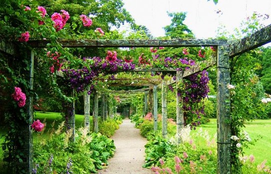 Florence Court Garden Florence Court Garden