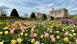 forde-abbey-spring.jpg