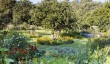 fulham-palace-gardens.jpg