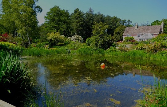 Fullers Mill Garden Fullers Mill Garden