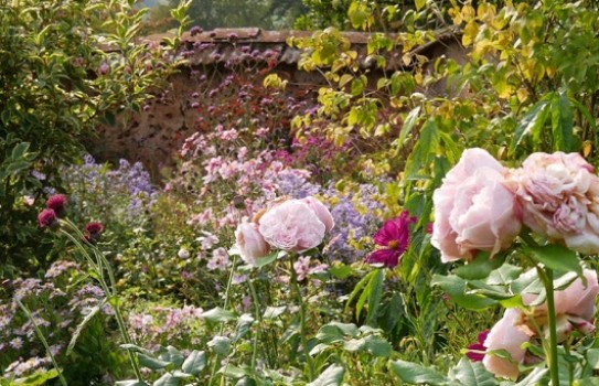 Fursdon House Gardens Fursdon House Gardens