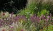 garden-in-cheshire.jpg