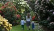 gardens-dumfries-galloway.jpg