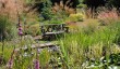 gardens-in-cheshire.jpg