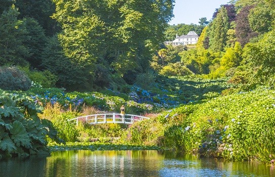 Trebah Gardens in Cornwall Trebah Gardens in Cornwall