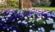 gardens-in-cumbria.jpg