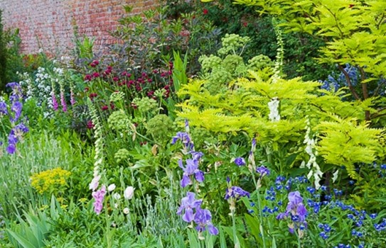 Gardens in Denbighshire Gardens in Denbighshire