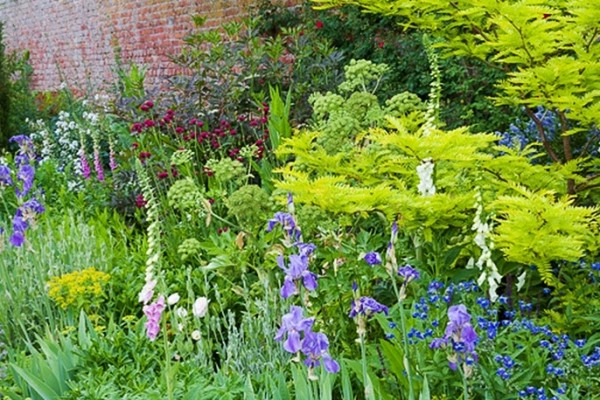 Gardens in Denbighshire