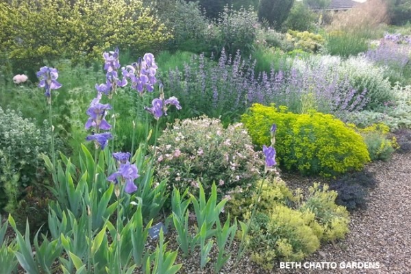 Gardens in Essex - Audley End