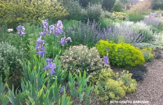 Gardens in Essex - Audley End