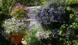 gardens-in-norfolk-old-vicarage-east-ruston.jpg